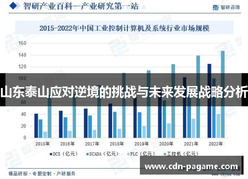 山东泰山应对逆境的挑战与未来发展战略分析