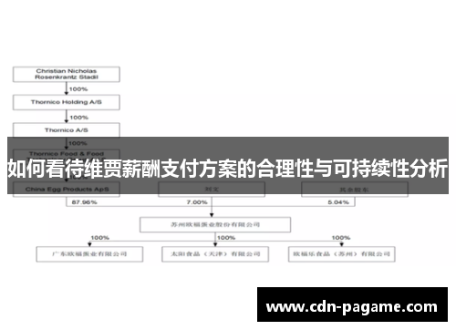 如何看待维贾薪酬支付方案的合理性与可持续性分析