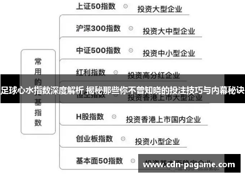 足球心水指数深度解析 揭秘那些你不曾知晓的投注技巧与内幕秘诀