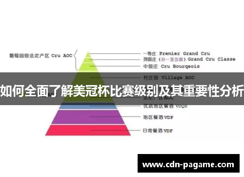 如何全面了解美冠杯比赛级别及其重要性分析