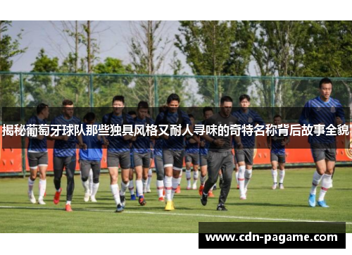 揭秘葡萄牙球队那些独具风格又耐人寻味的奇特名称背后故事全貌