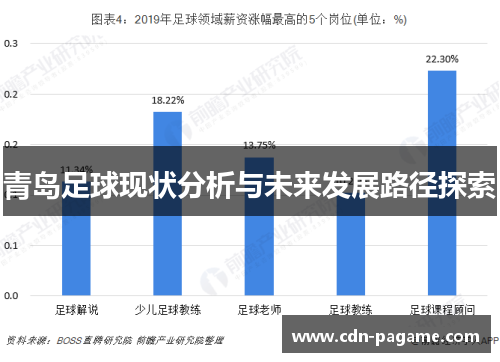 青岛足球现状分析与未来发展路径探索