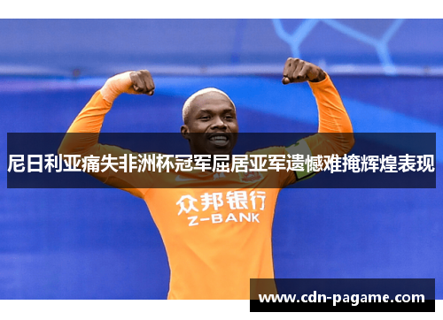 尼日利亚痛失非洲杯冠军屈居亚军遗憾难掩辉煌表现