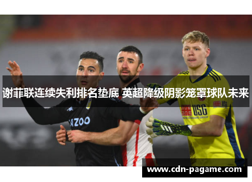 谢菲联连续失利排名垫底 英超降级阴影笼罩球队未来