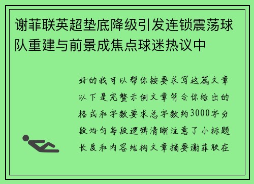 谢菲联英超垫底降级引发连锁震荡球队重建与前景成焦点球迷热议中